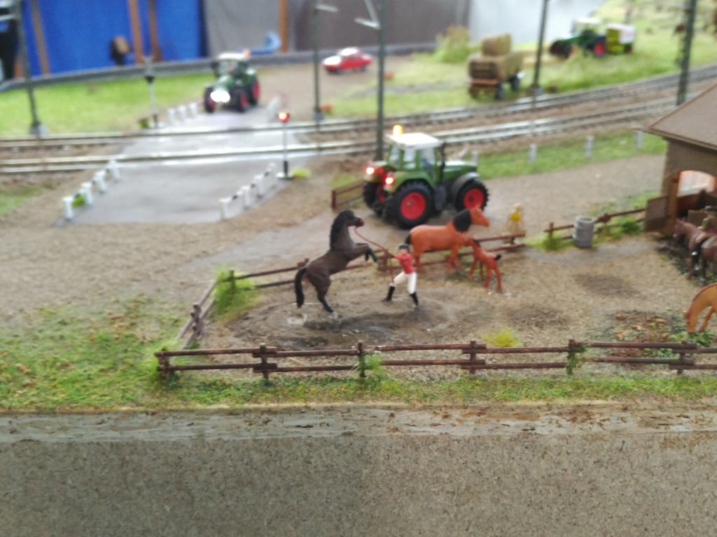 Caballo encabritado en la granja, una bonita escena