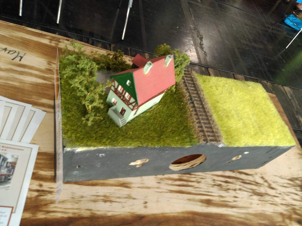 Micromódulo júnior con una casa por decoración