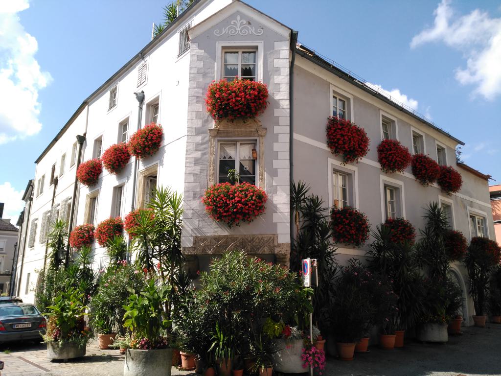 Destacan especialmente las flores en las ventanas, como esta de la Welser Altstadt