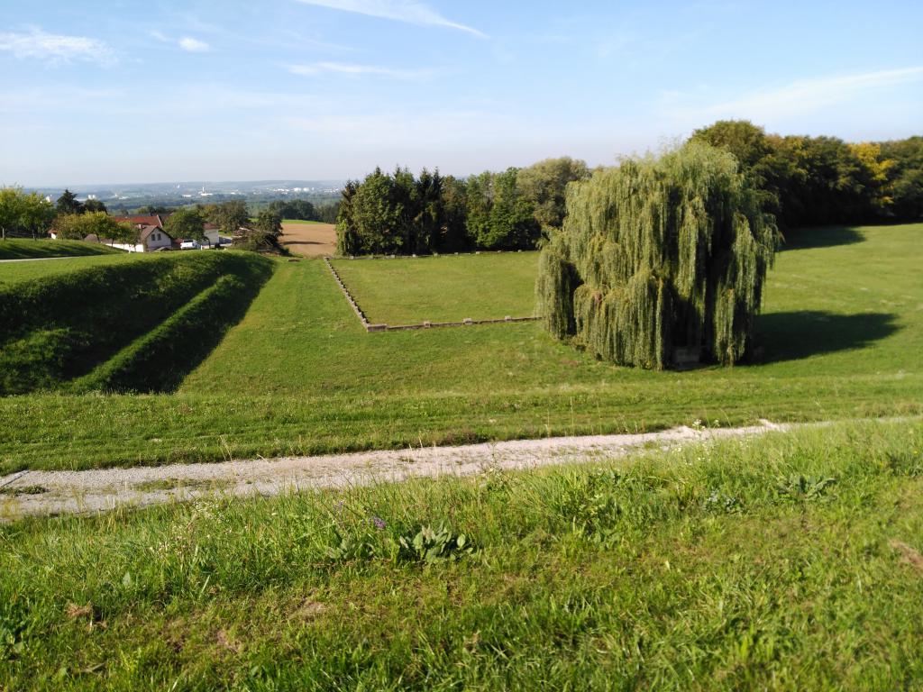 La entrada al museo se hace por el camino de cintura del campo