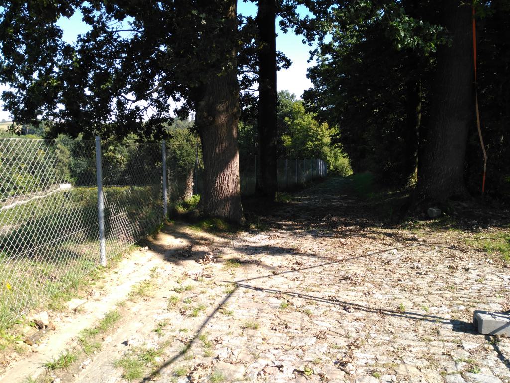 Camino de la cantera y pared de los 'paracaidistas&apos